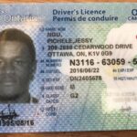 Buy drivers licence