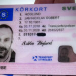 Swedish drivers license