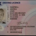 Buy drivers license